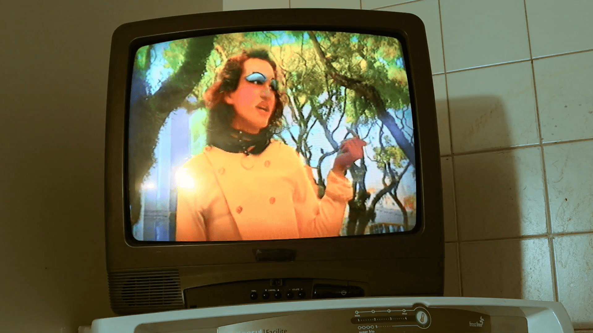 Imagem 1 de Peixes Elétricos