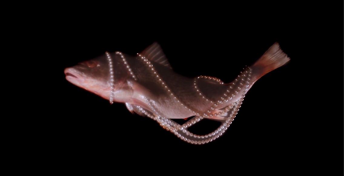 Imagem 2 de Peixes Elétricos